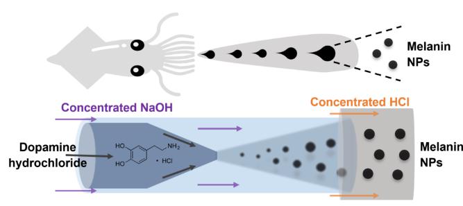 微流體技術(shù)高效可控制備類黑色素納米材料