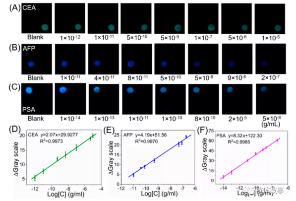 圖2 檢測(cè)區(qū)1(A)、2(B)和3(C)號(hào)在不同濃度的CEA、AFP和PSA存在時(shí)的堆疊圖片。CEA (D)、AFP (E)、PSA(F)為視頻檢測(cè)模式的代表性校準(zhǔn)曲線