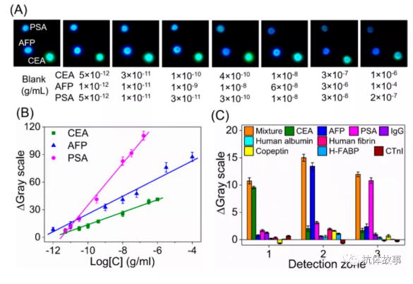 圖3 (A)檢測(cè)不同濃度CEA、AFP和PSA時(shí)的照片。(B)采用照片檢測(cè)模式進(jìn)行CEA、AFP和PSA檢測(cè)的典型校準(zhǔn)曲線。(C) CL免疫測(cè)定的干擾研究，分別設(shè)置十個(gè)干擾組。