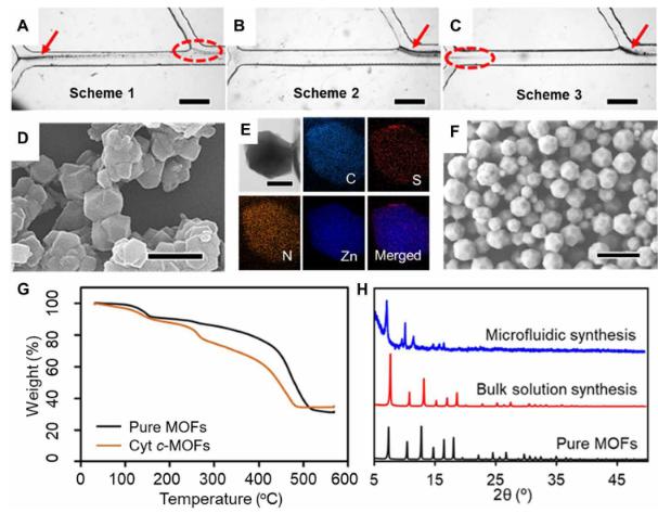 微流體合成Cyt c-MOF復合物的、結構、形貌等示意圖