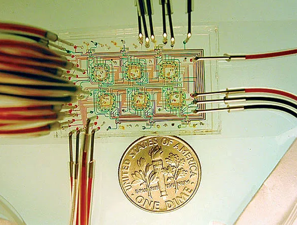 微流控芯片。圖片來源：Nature 