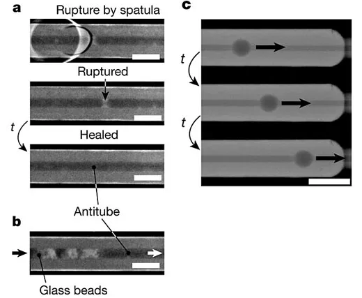 具有“自愈”功能的液體管壁微流體通道。圖片來源：Nature