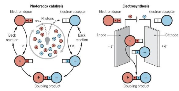 微流體電催化平臺，成功實(shí)現(xiàn)合成自由基化學(xué)應(yīng)用大突破