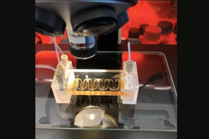 低成本的微流體傳感器用于水質(zhì)監(jiān)測