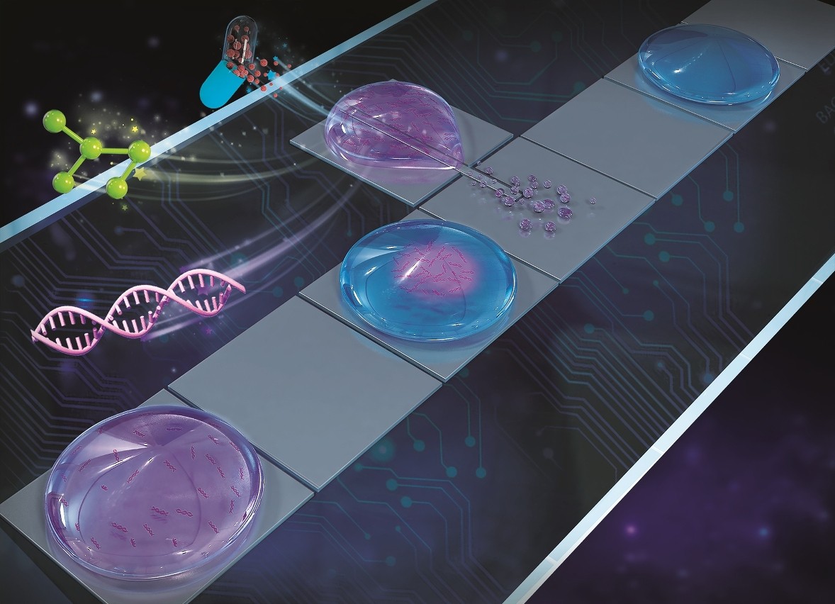 高壓交流電場(chǎng)的驅(qū)動(dòng)下定向噴射出的“衛(wèi)星液滴”