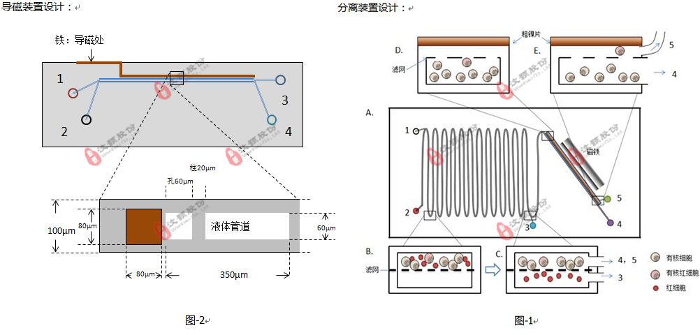 基于微流控平臺的有核紅細胞分析系統(tǒng)委托開發(fā)