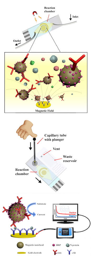 微流控芯片簡化了COVID-19檢測，可在55分鐘或更短時間內(nèi)在手機上提供結(jié)果