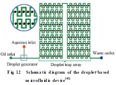 微流控芯片在模式生物水平化學(xué)研究技術(shù)