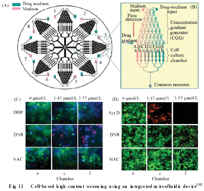 微流控芯片在模式生物水平化學(xué)研究技術(shù)